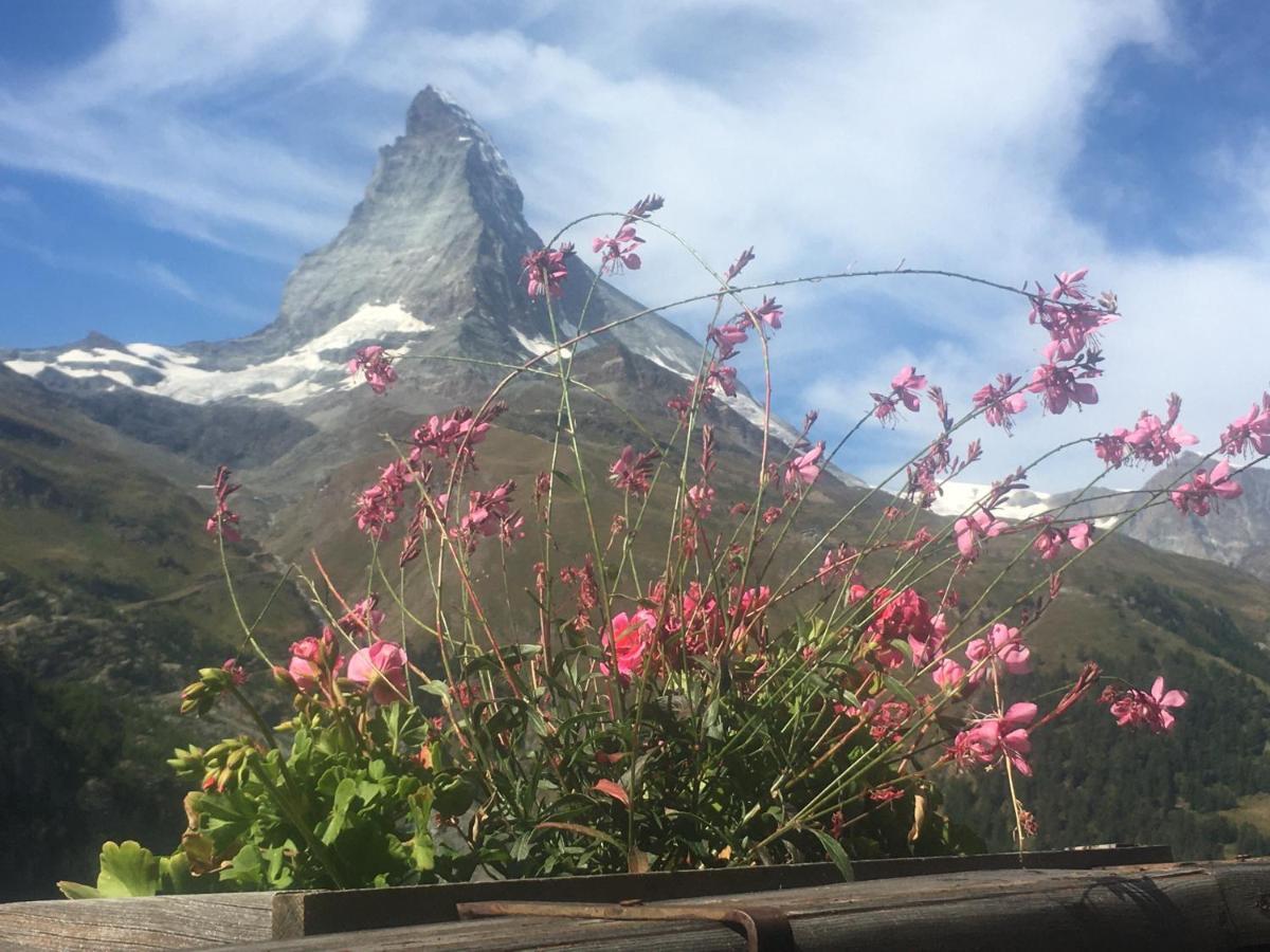 Apartment Samira Zermatt Ngoại thất bức ảnh